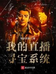 直播寻宝类系统