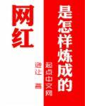网红是怎样红起来的