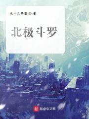 北极大陆