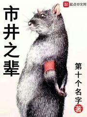 市井之辈简介