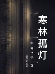 寒剑孤灯