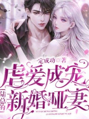 陆竟池江澜短剧免费观看