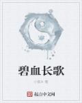 碧血长空完整