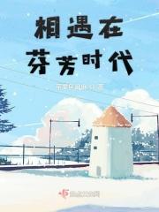 深圳芬芳时代 防爆
