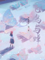 飞鸟与蝉简谱