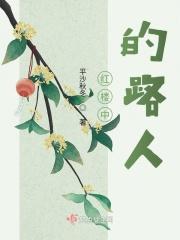 综红楼路人甲