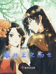镇北王要王妃干嘛