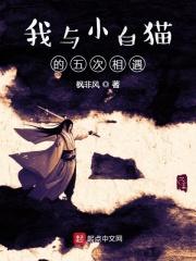 我与小猫的作文400字