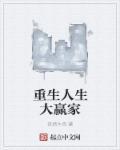重生之人生赢家