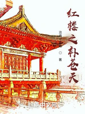 红楼之天若有情全文免费阅读