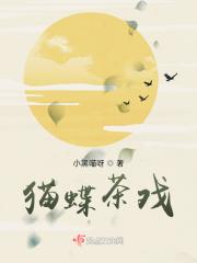 花猫戏蝶