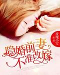 隐婚深爱前妻不好追