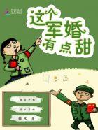 军婚之这个杀手无节操免费阅读