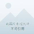 重生巨星系统