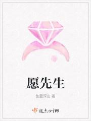 愿望先生任务