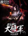 少年大将军人物关系