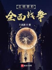 战争与文明全面战争只能观战