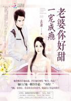 宠妻成瘾 老婆 你要乖免费