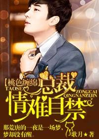 缠绵不休 总裁的绝色宠妻