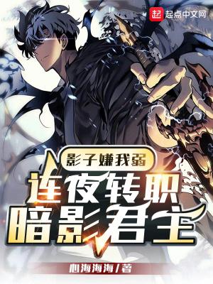vv影子