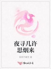 夜寻什么意思