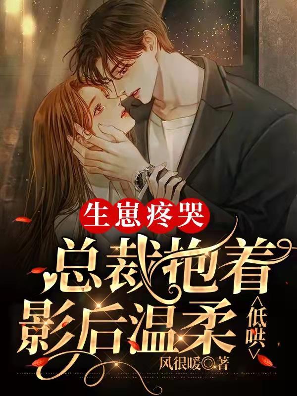 总裁生孩子的