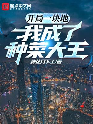 开局就的一块一亿地皮
