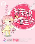 重生之我的老妈是首富