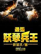 最强妖孽兵王楚枫免费阅读公子天策