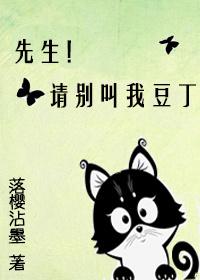 先生别叫我豆丁txt
