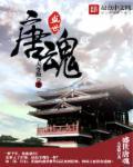盛世唐豪