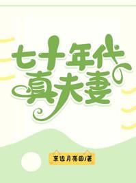 七十年代真夫妻番外