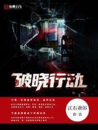 破晓行动什么意思