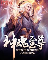 神魂至尊完整
