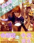 命运之夜06版