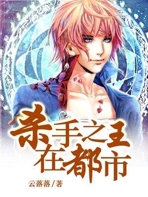 杀手之王在都市段