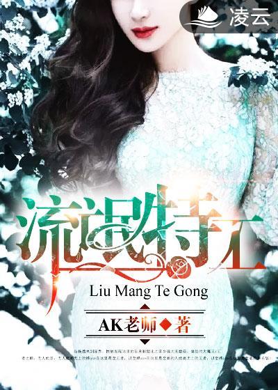 流氓特工进不去怎么办
