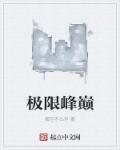 极限巅峰教程