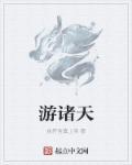 我卫宫巨侠畅游诸天