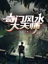 奇门风水大天师无弹窗