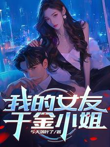 我的女友是小姐全文