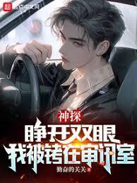 神探陈益TXT在线