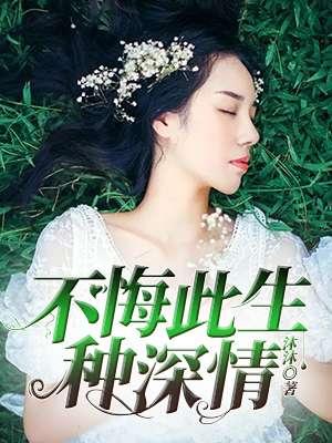 不悔情深终无憾上一句是什么