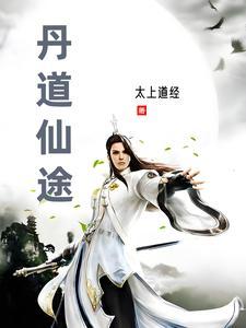 丹道仙途起点