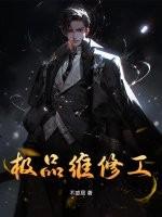 极品维修工王贵免费全文阅读价格