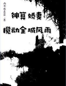 神算娇妻搅动全城风雨