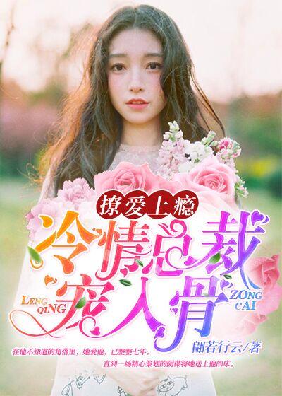 撩妻总裁宠上瘾全文