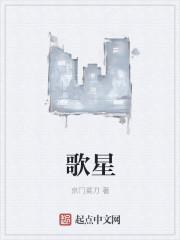 歌星税收标准是多少?