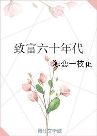 六零致富日志