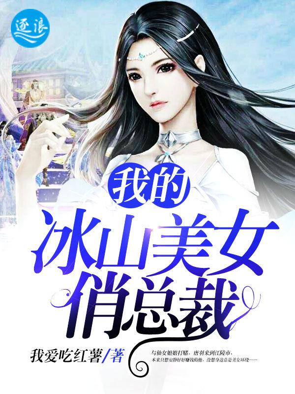 我的冰山美女总裁老婆电视剧